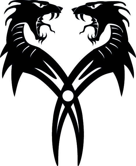 Dragones gemelos