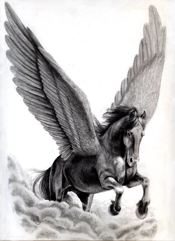 Pegasus