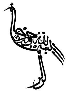 Caligrafía Arabe