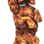 Perro