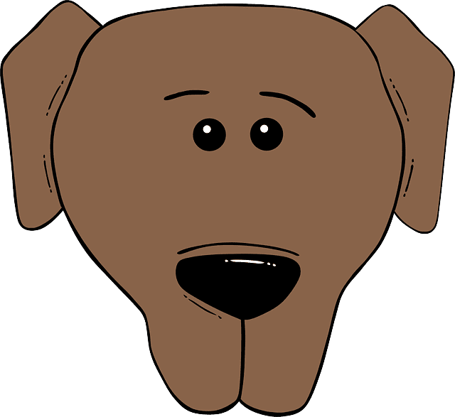 Perro