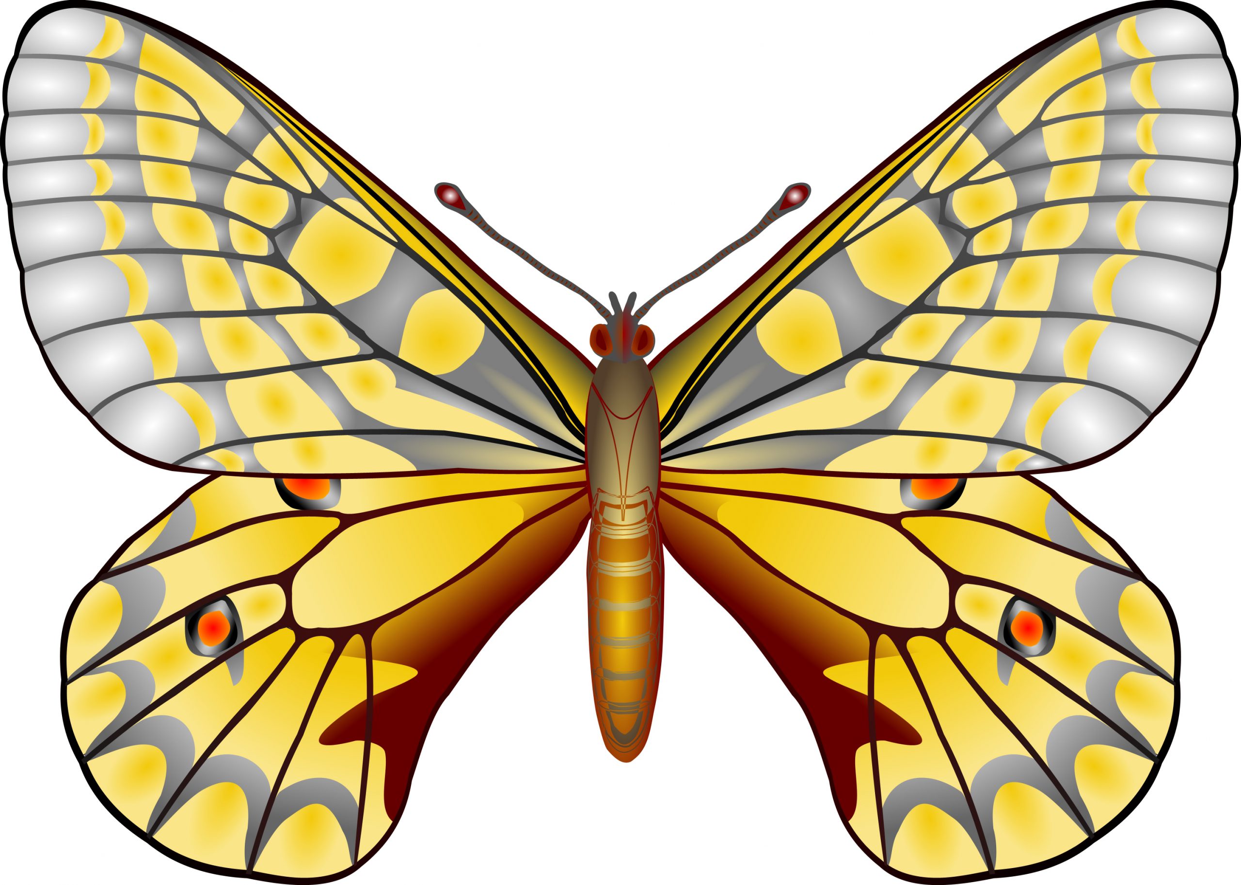 Mariposa amarilla