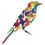 Pájaro de colores
