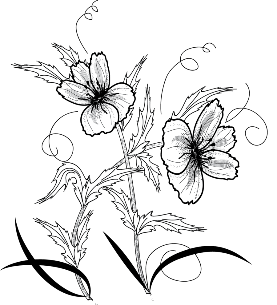 Serie de Flores