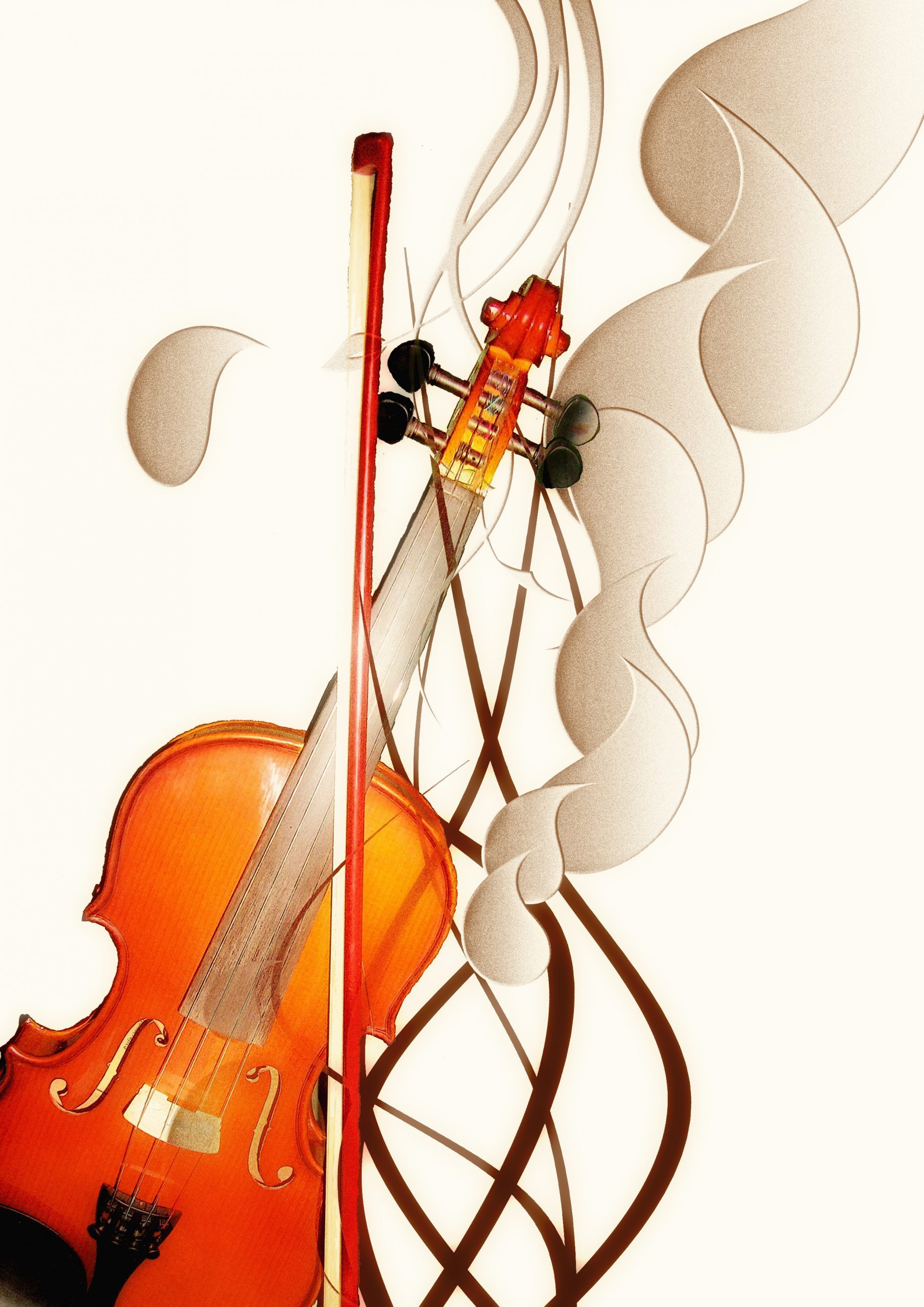 Violín