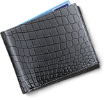 Plantilla Cartera