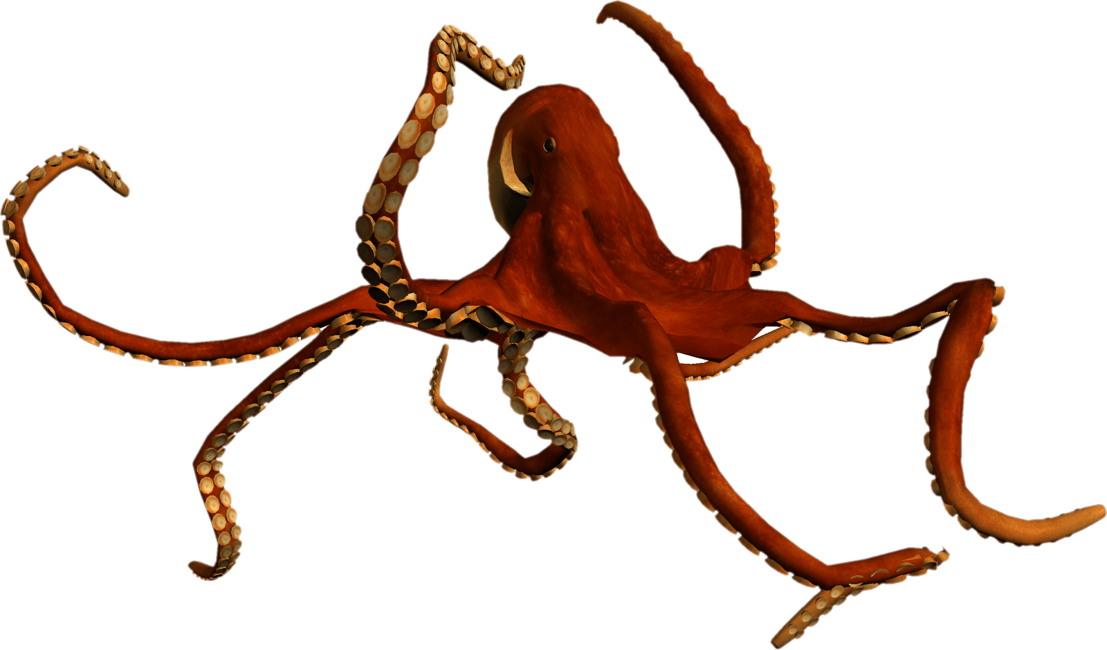 Plantilla Pulpo