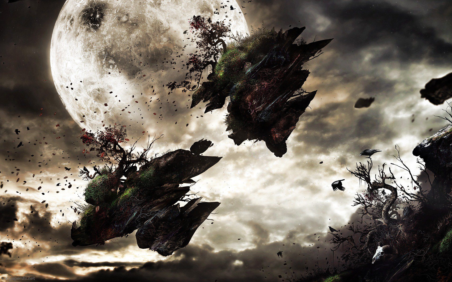 Tornado 3D