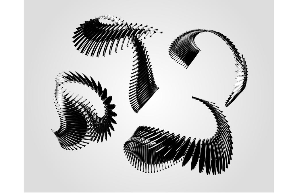 Spine 3d