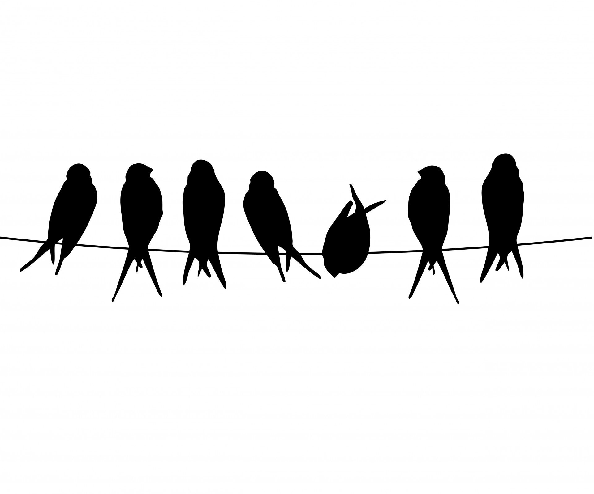 Plantilla de Pájaros