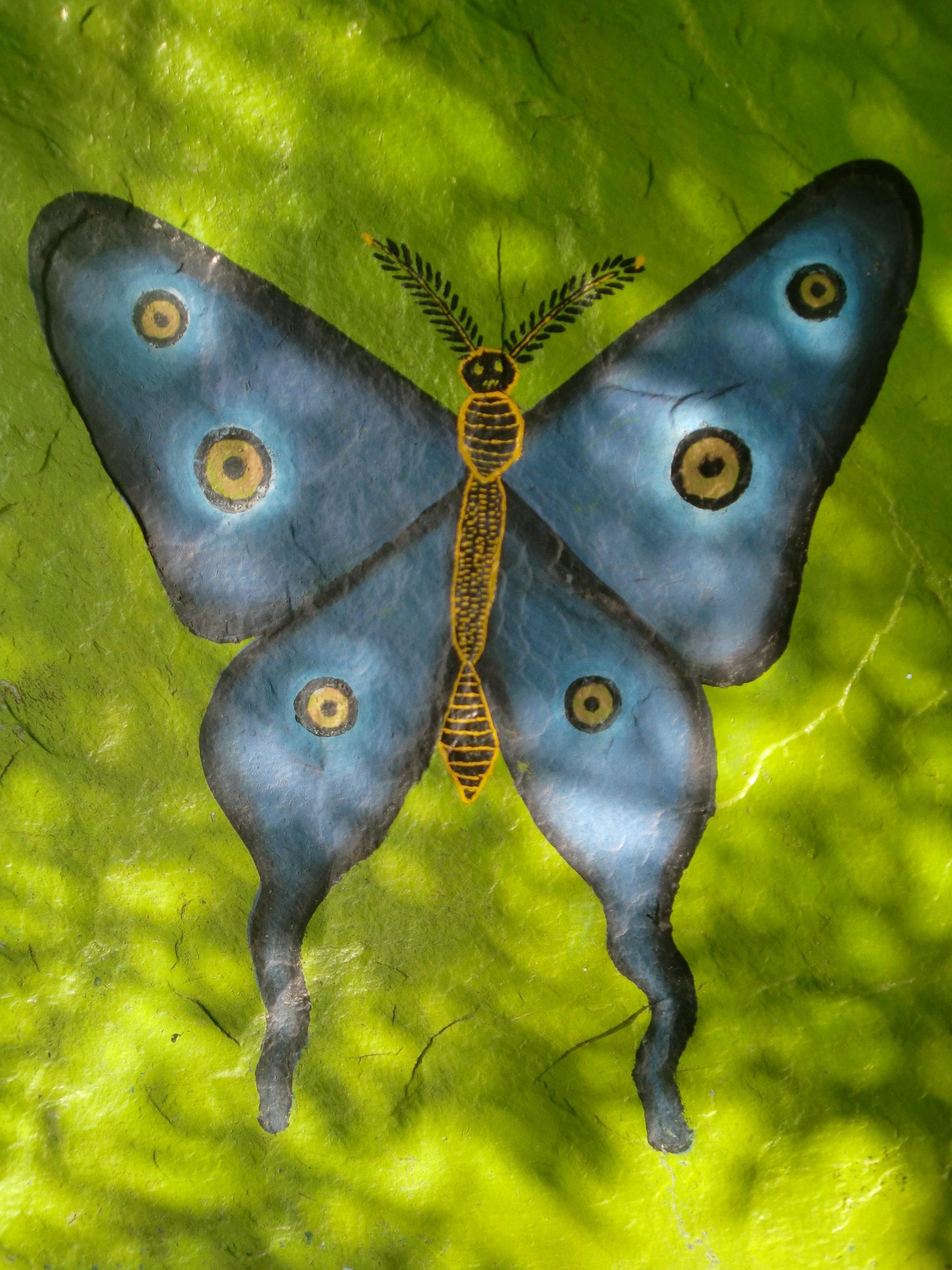 butterfly-194621
