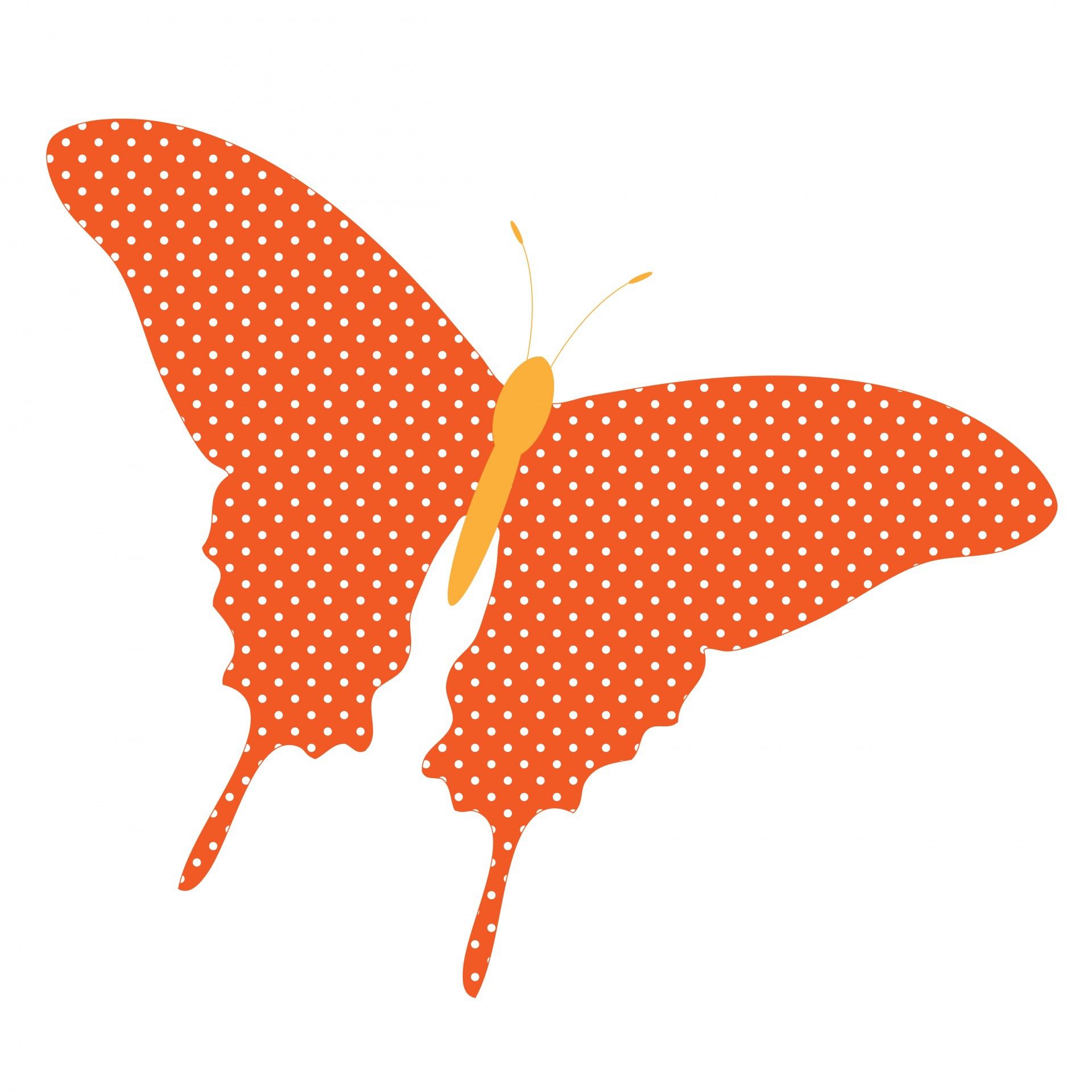 Plantilla de Mariposa