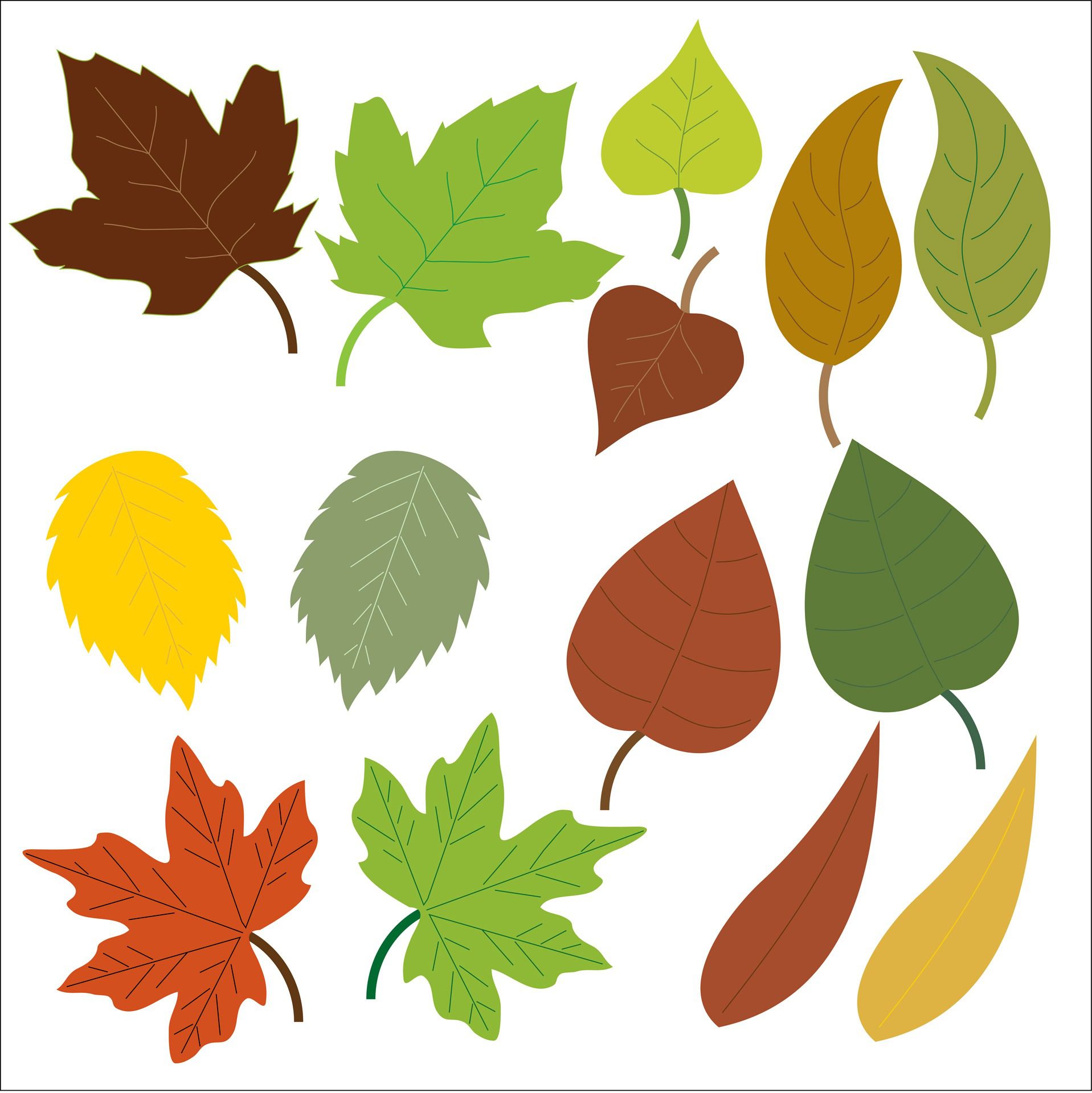 Hojas Otoño