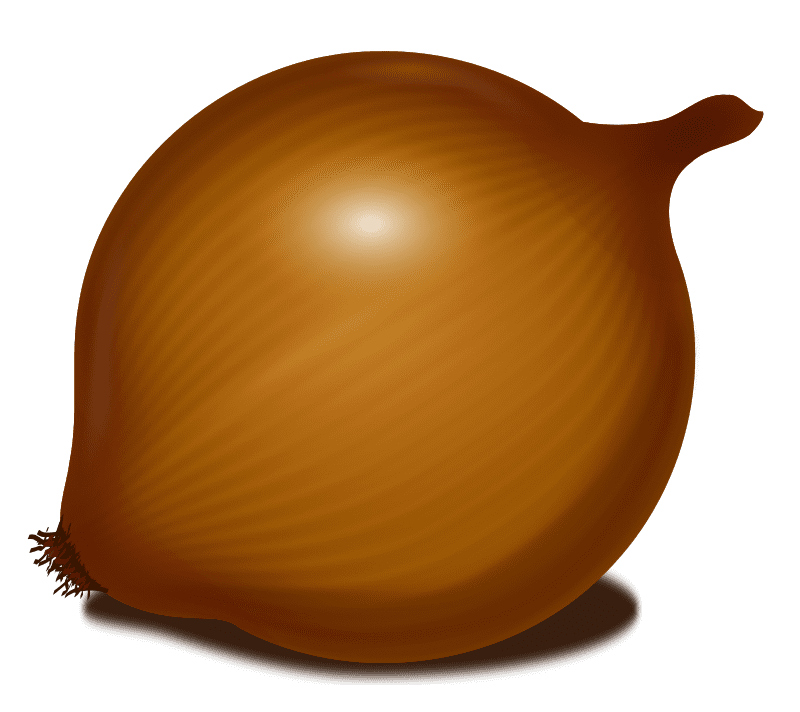 Plantilla Cebolla
