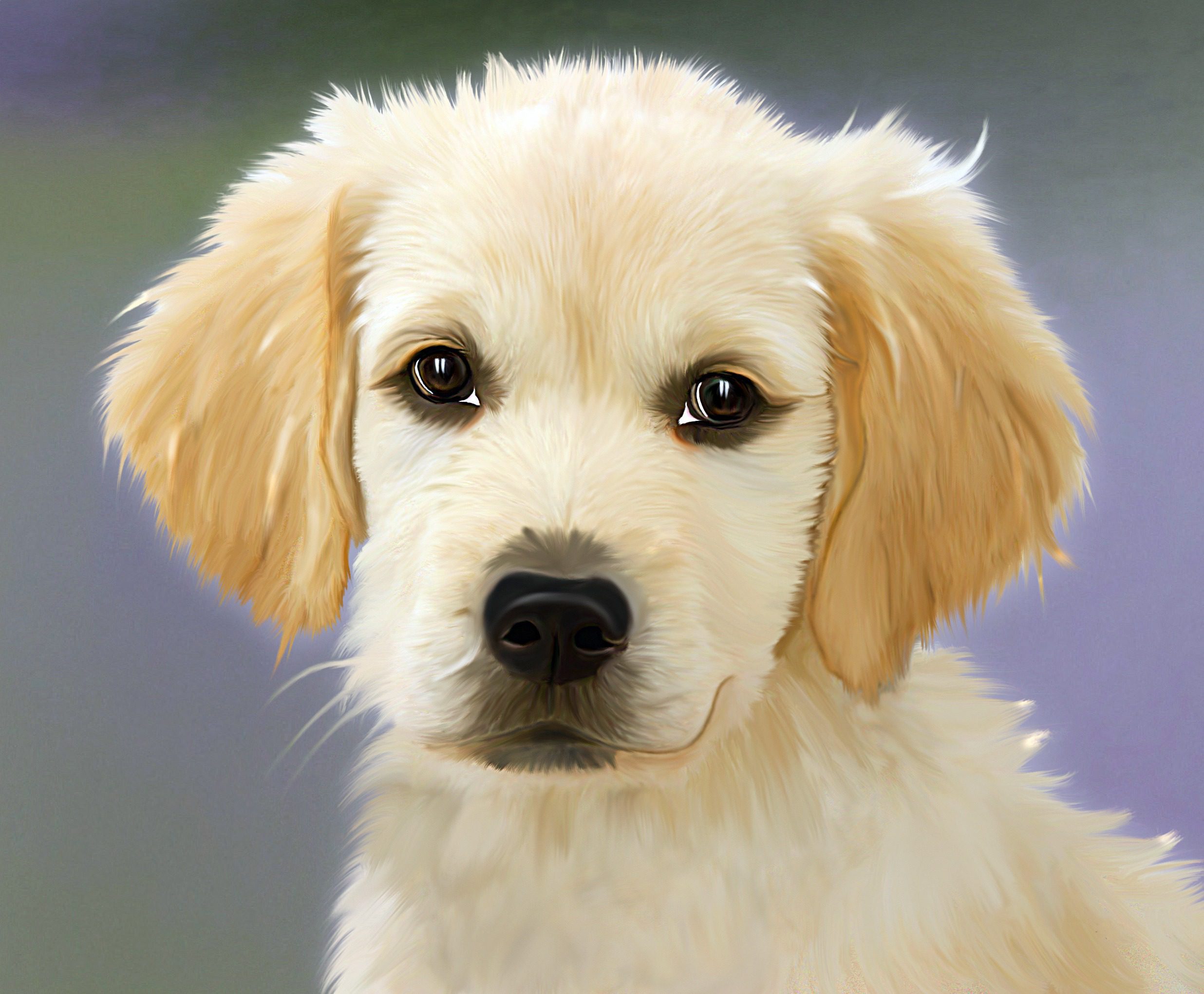 Perro Ilustrado
