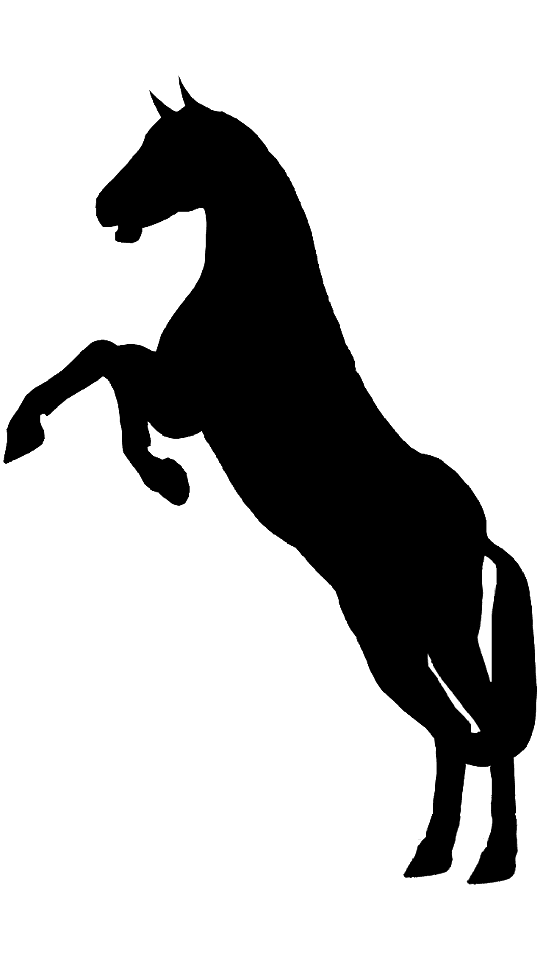 Silueta de caballo