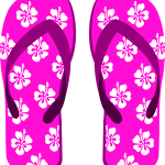 flip-flops-298725_640