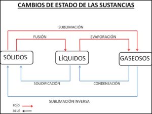 diapositiva1