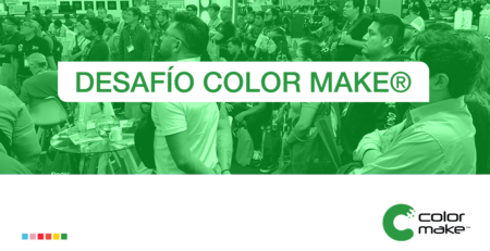 Lineamientos Desafío Color Make®